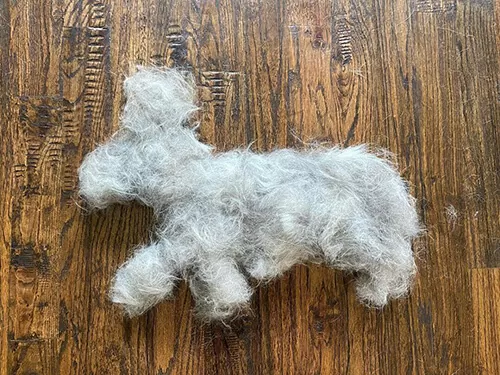 lông corgi xếp thành hình chó