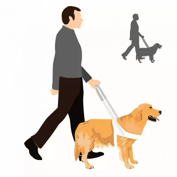 người đàn ông và chú chó dẫn đường